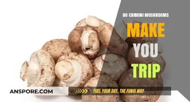 Do Crimini Mushrooms Cause Psychedelic Trips? Facts and Myths Explained