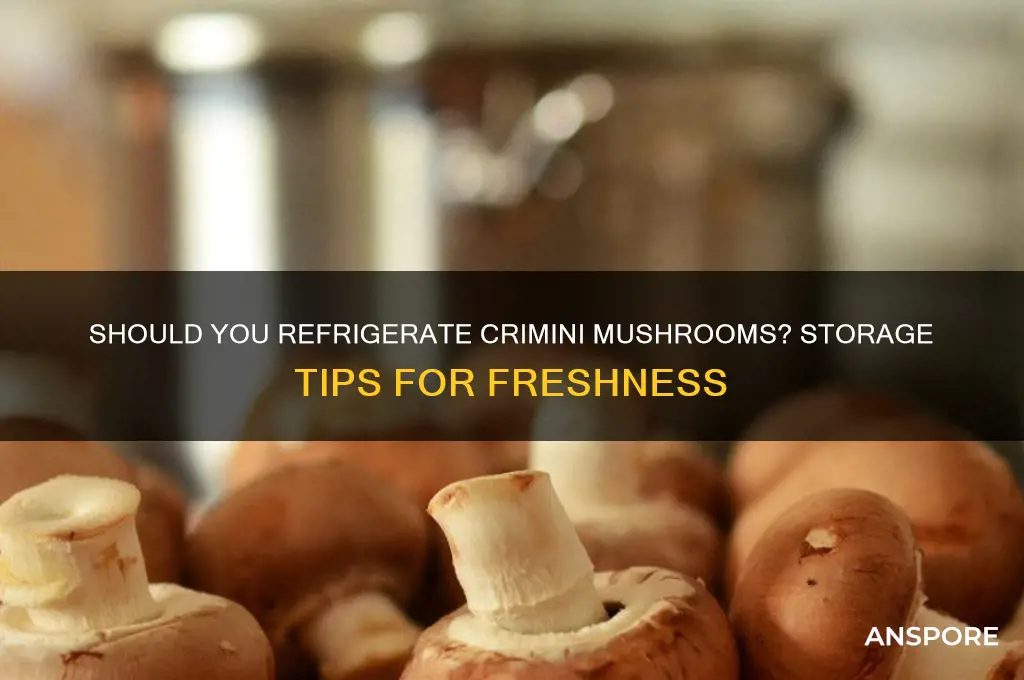 do crimini mushrooms need to be refrigerated