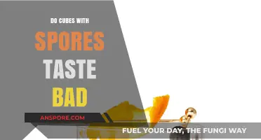 Do Spore-Infused Cubes Taste Bad? A Culinary Exploration