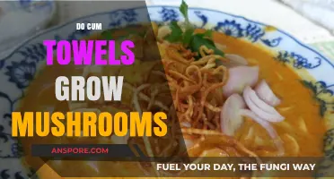 Can Cum Towels Grow Mushrooms? Uncovering the Truth Behind the Myth