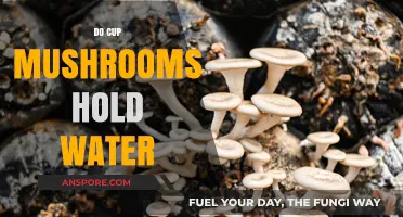 Mushroom Cups: Water Retention Secrets