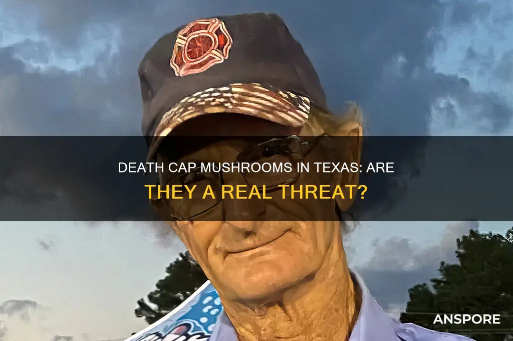 do death cap mushrooms grow in texas