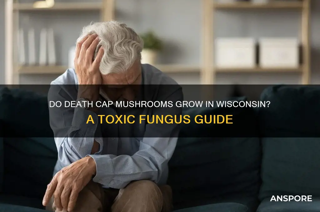 do death cap mushrooms grow in wisconsin
