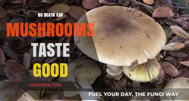 Death Cap Mushrooms: Are They Delicious or Deadly?
