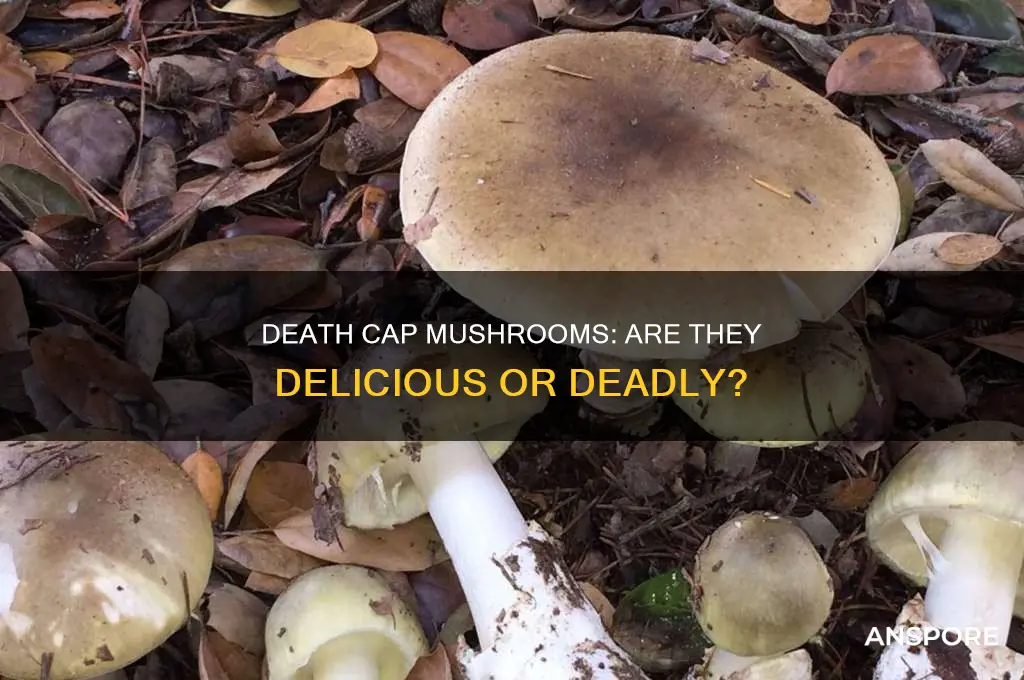 do death cap mushrooms taste good