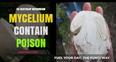 Are Deathcap Mushroom Mycelium Poisonous? Uncovering the Hidden Dangers
