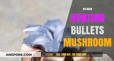 Hunting Bullets: Do Deer Cause Bullet Mushrooming?
