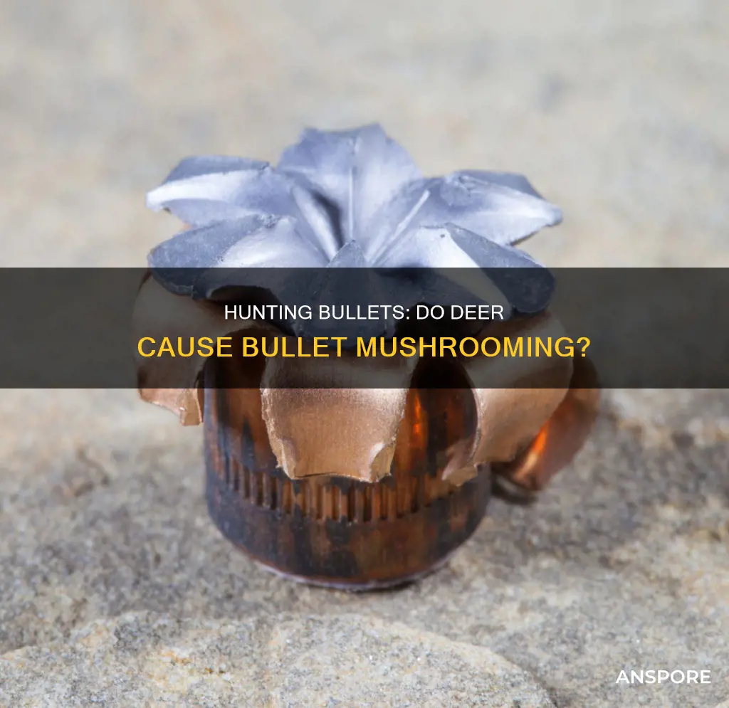 do deer hunting bullets mushroom