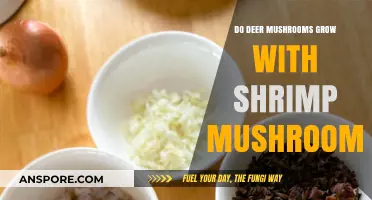 Deer Mushrooms and Shrimp Mushrooms: Co-Growth Possibilities Explored