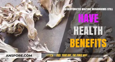 Dehydrated Maitake Mushrooms: Retaining Health Benefits After Drying?