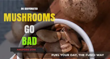 Do Dehydrated Mushrooms Expire? Shelf Life and Storage Tips