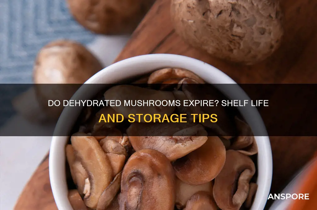 do dehydrated mushrooms go bad