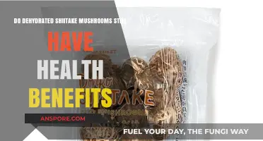 Dehydrated Shiitake Mushrooms: Retaining Health Benefits After Drying?