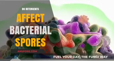Detergents vs. Bacterial Spores: Uncovering Their Impact and Resistance