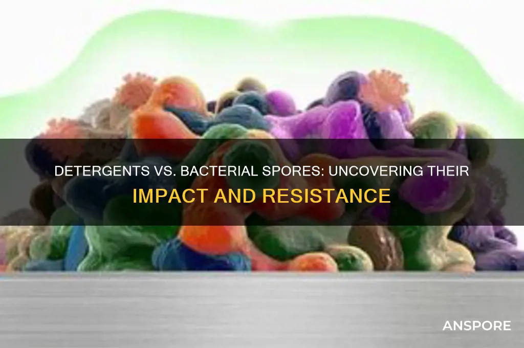 do detergents affect bacterial spores