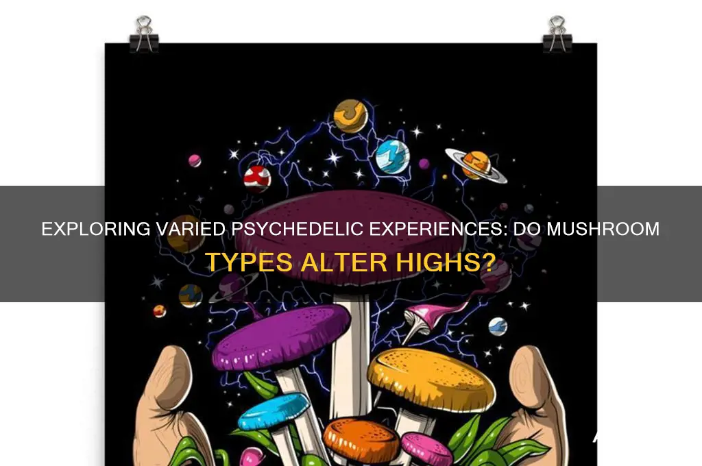 do different mushrooms give different highs
