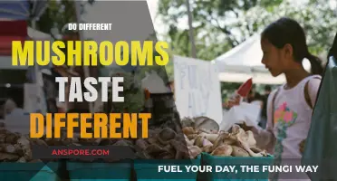 Mushroom Magic: Unveiling Unique Flavors