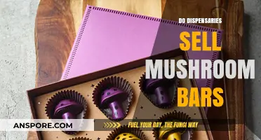 Mushroom Bars: Dispensary Availability and Legality