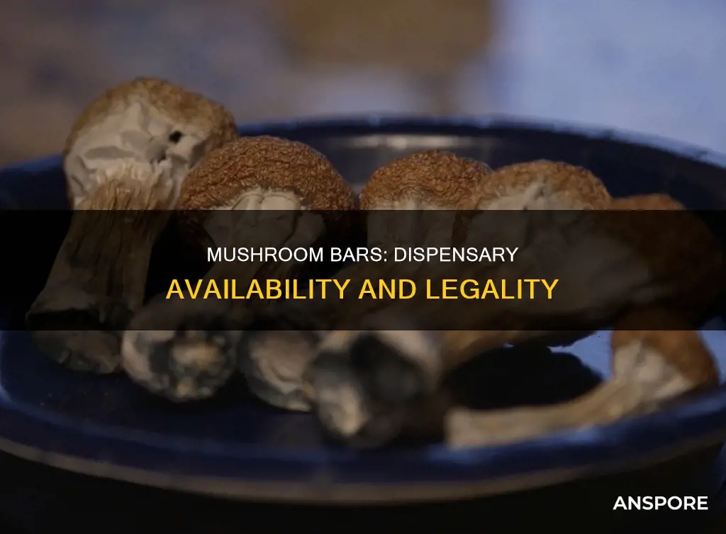 do dispensaries sell mushroom bars
