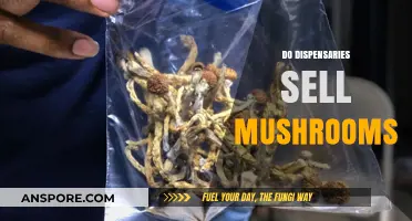 Mushroom Dispensaries: Where to Buy and Legality