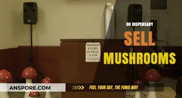 Mushroom Dispensary Sales: What's Available and Where?