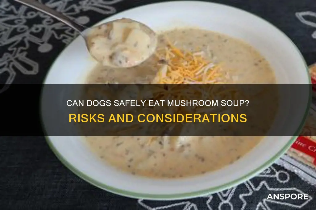 do dogs eat mushroom soup