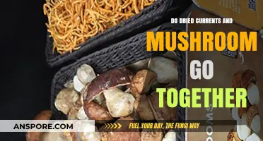 Dried Currants and Mushrooms: A Surprising Culinary Pairing Explored