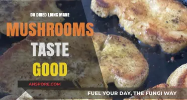 Does Dried Lion's Mane Mushroom Taste Good? A Flavor Review