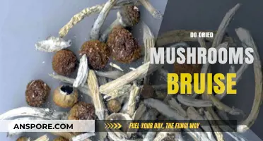 Dried Mushrooms: Do They Bruise or Not?