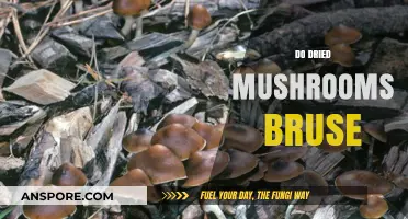 Dried Mushrooms: Do They Bruise?