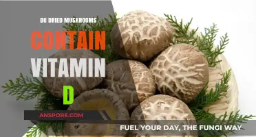 Dried Mushrooms and Vitamin D: Unveiling the Nutritional Benefits