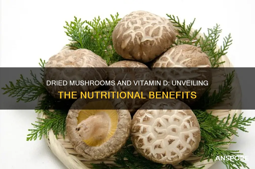 do dried mushrooms contain vitamin d