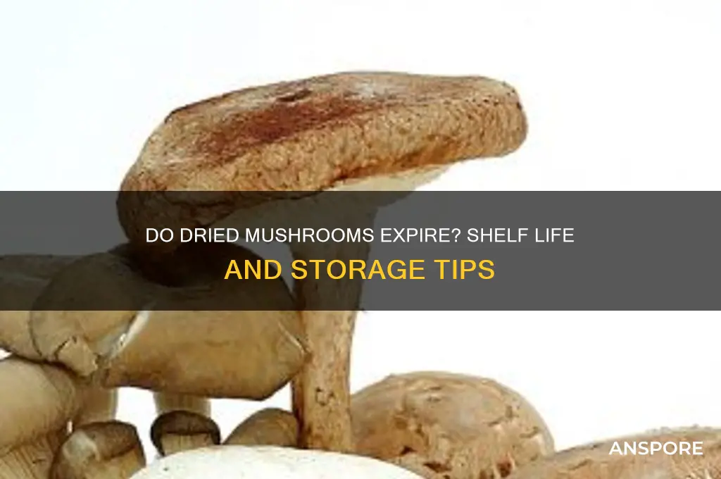 do dried mushrooms ever go bad