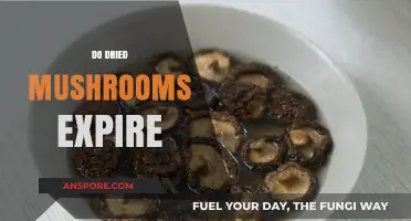 Dried Mushrooms: How Long Do They Last?