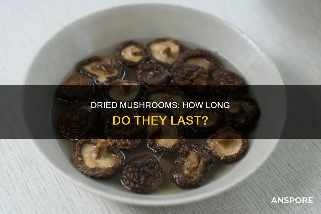 do dried mushrooms expire