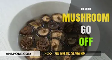 How Long Do Dried Mushrooms Really Last?