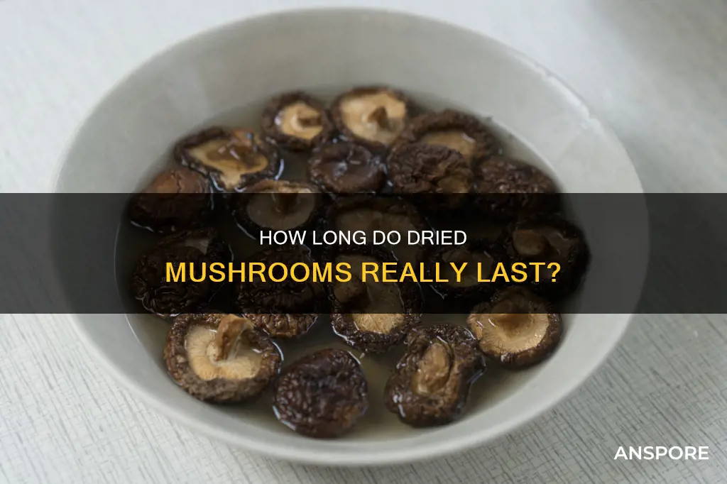do dried mushrooms go off