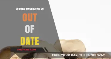 Do Dried Mushrooms Expire? Shelf Life and Storage Tips