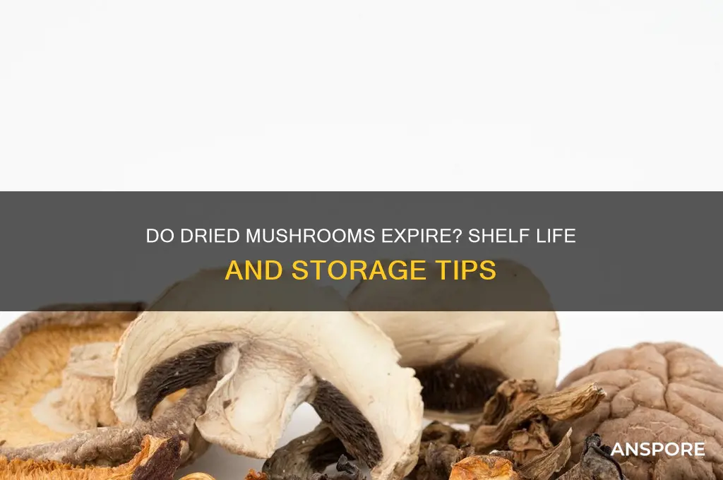 do dried mushrooms go out of date