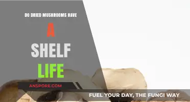 How Long Do Dried Mushrooms Last? Shelf Life Explained