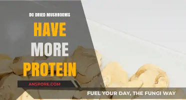 Dried Mushrooms vs. Fresh: Which Has More Protein?