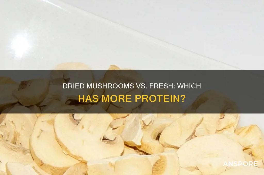 do dried mushrooms have more protein