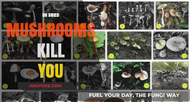 Dried Mushrooms: Are They Deadly?