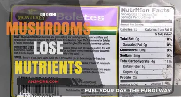 Dried Mushrooms: Do They Retain Their Nutrients?