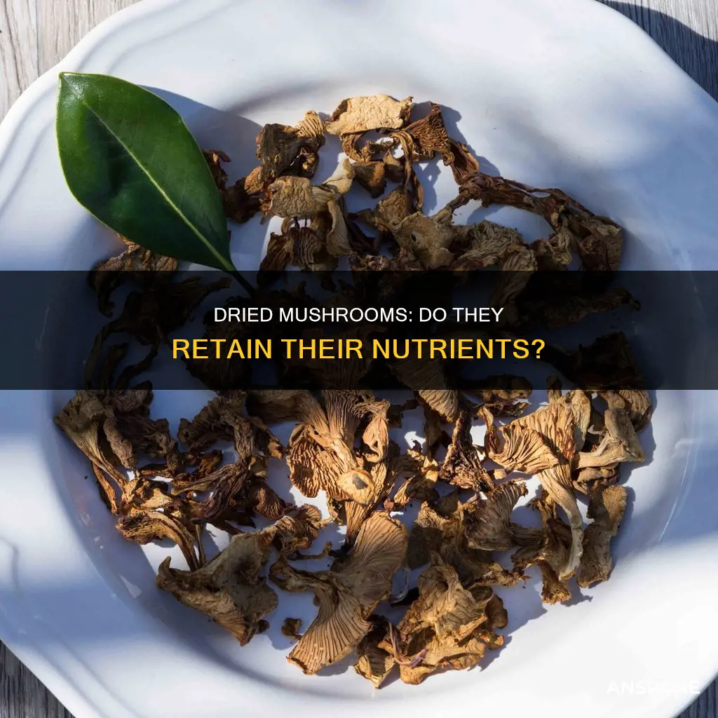 do dried mushrooms lose nutrients