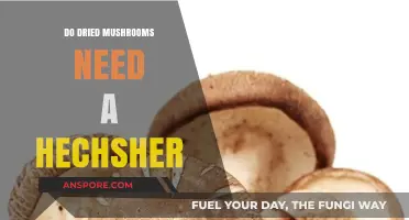 Do Dried Mushrooms Require Kosher Certification? Exploring the Hechsher Debate
