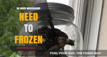 Should You Freeze Dried Mushrooms? Storage Tips for Longevity