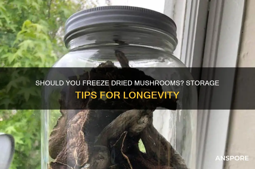 do dried mushrooms need to frozen