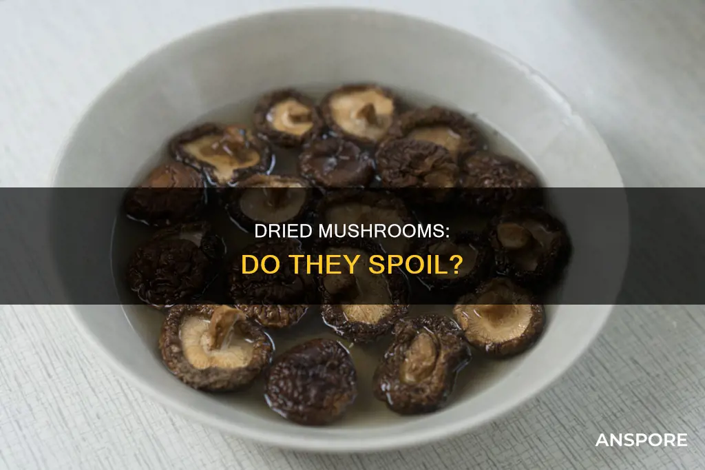 do dried mushrooms spoil