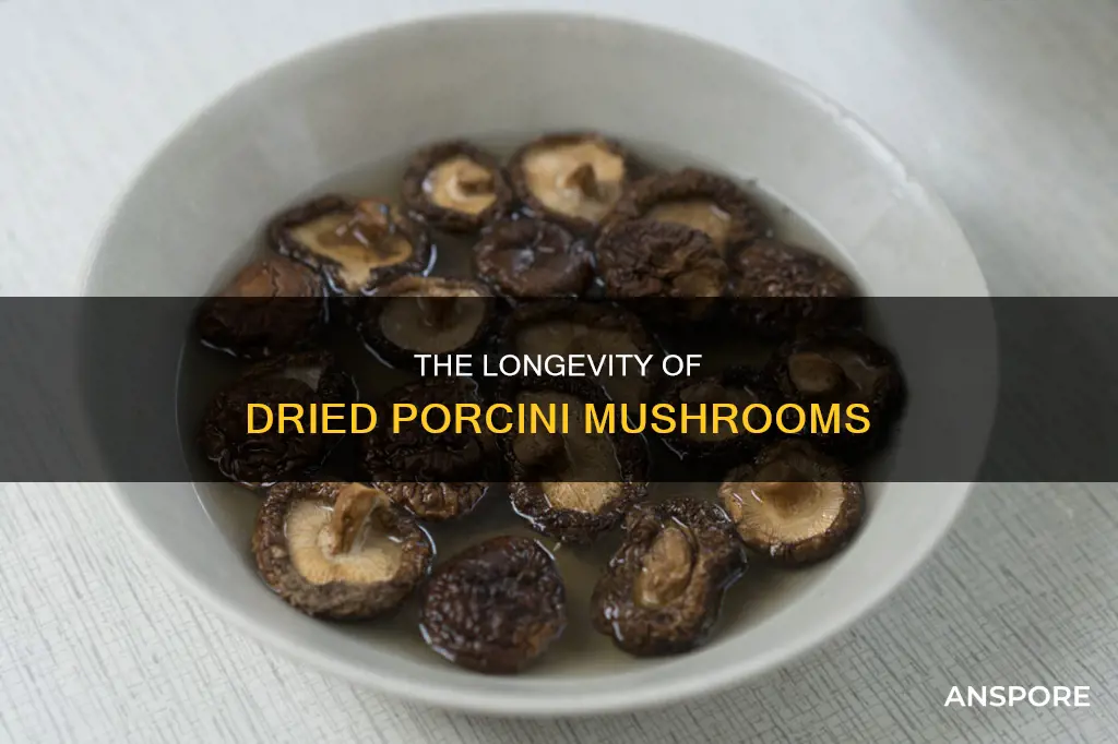 do dried porcini mushrooms expire